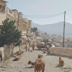 Σταμάτα να Αγνοείς Αυτά τα 7 Σημάδια Ορμονικής Ανισορροπίας — Πριν Γίνουν Μόνιμα